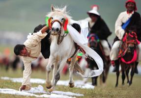 Shoton Festival Horse Racing